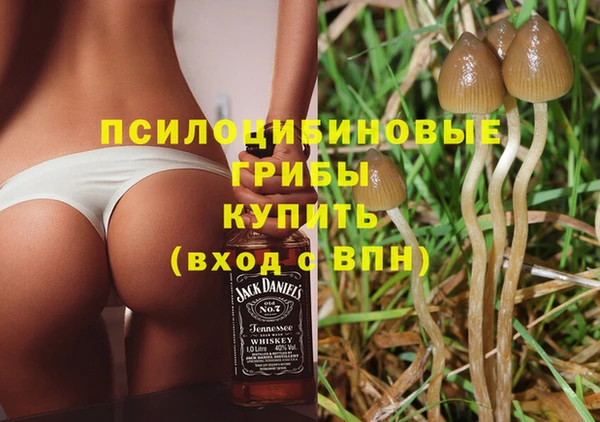 марки nbome Горнозаводск